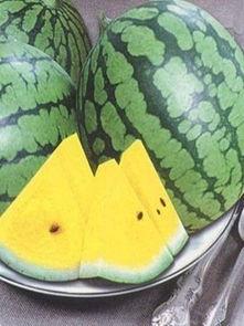 东台吃瓜事件视频