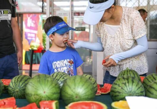 玲玲吃瓜,揭秘娱乐圈背后的甜蜜与苦涩