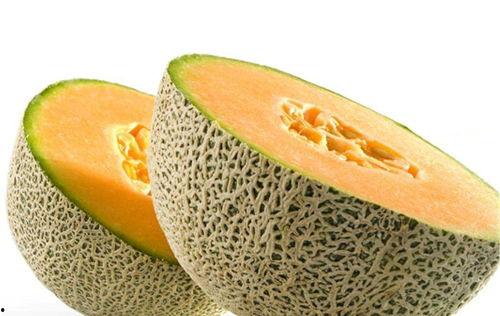 哺乳可吃茭瓜吗,哺乳期妈妈能否食用茭瓜？营养与安全解析