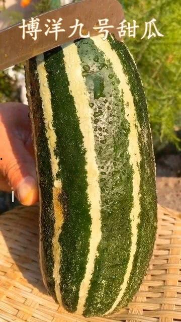 你有了吗 吃瓜,揭秘“有了吗”背后的吃瓜真相