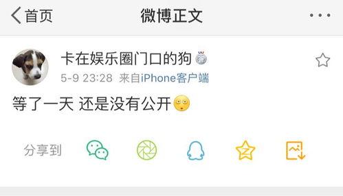 吃瓜爆料. cn,揭秘娱乐圈幕后真相