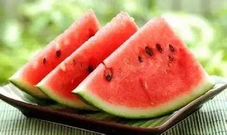 不定时吃瓜,跟随不定时吃瓜的趣味人生