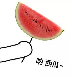 沈阳城建吃瓜